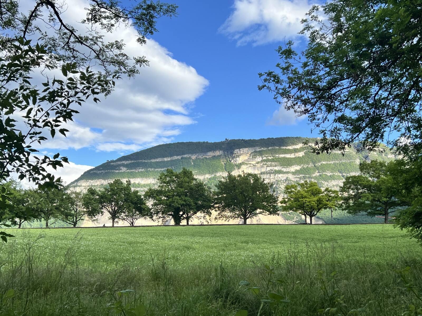 Le Salève et la campagne genevoise